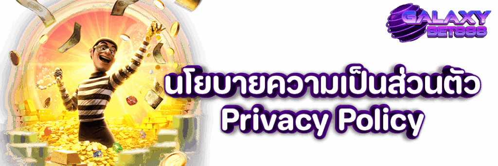 นโยบายความเป็นส่วนตัว